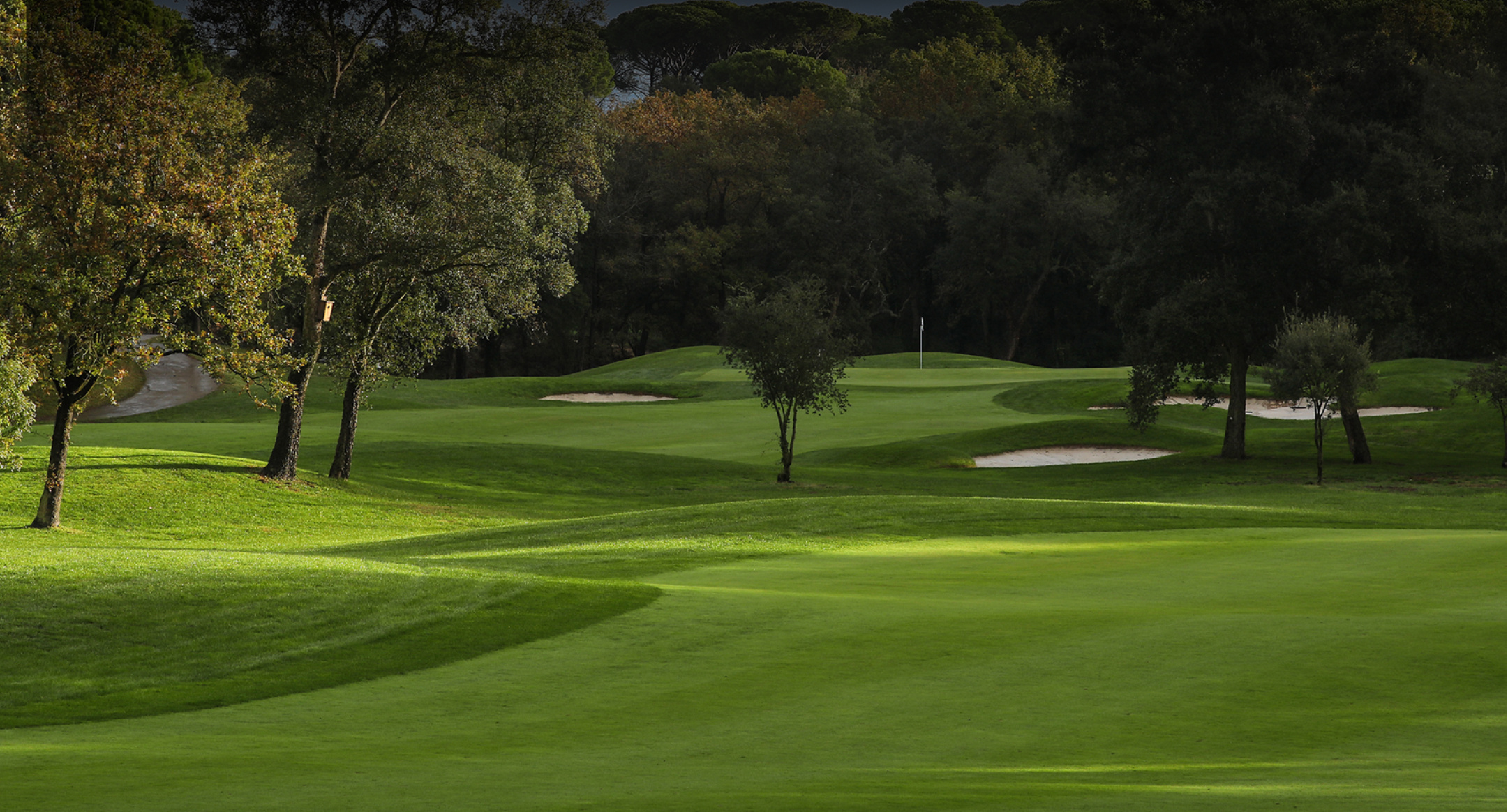 Tony Finau: The DNA of back-to-back wins
